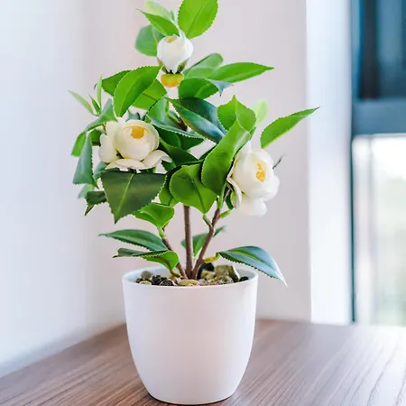 2br Penthouse In Centre - Free Parking, Wifi 公寓 利兹